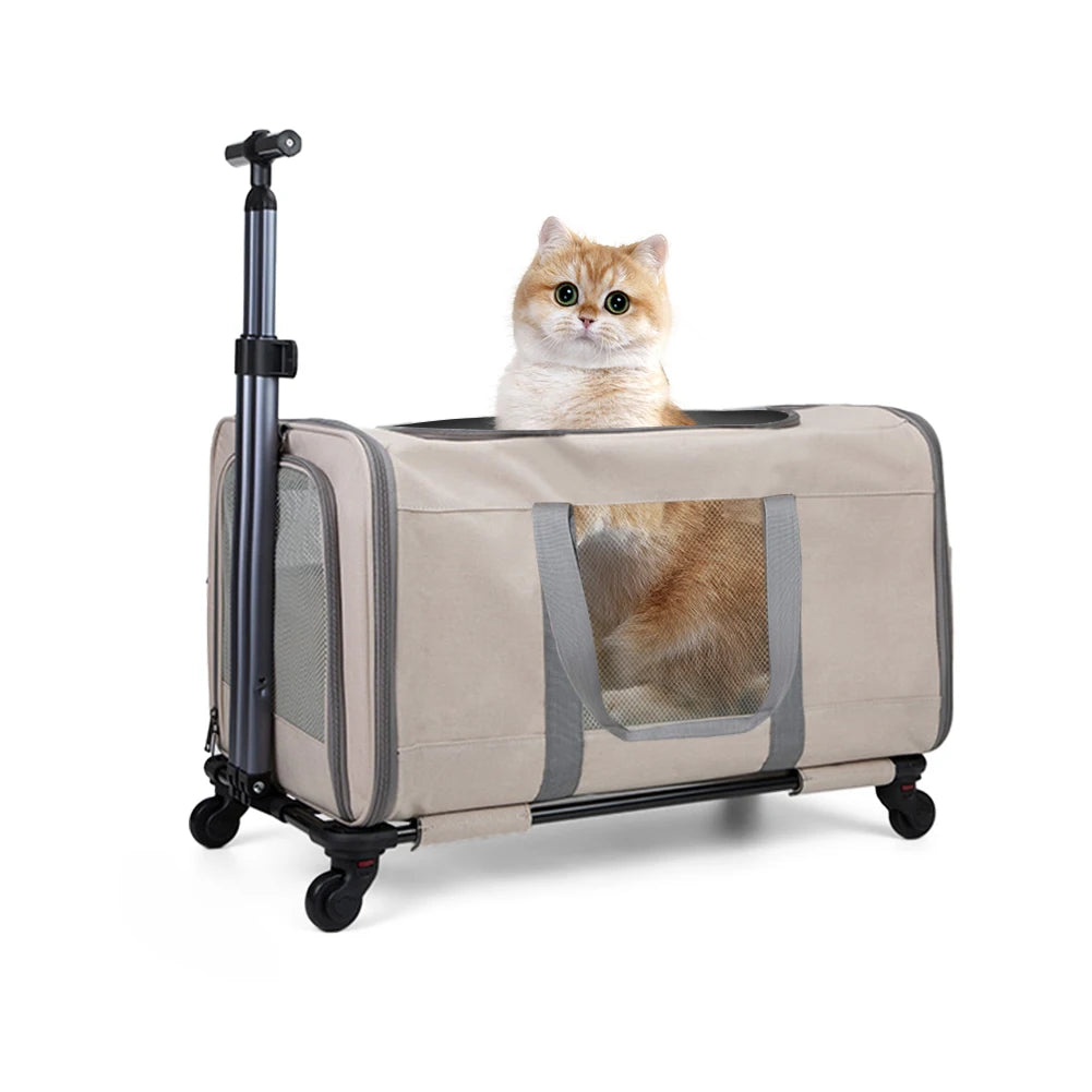 Premium Transporttasche/Trolley mit Rollen und Sicherheitsgurt