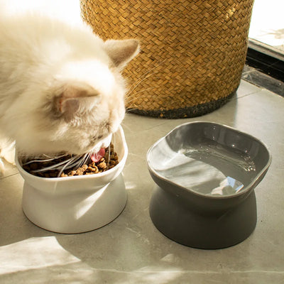 Eleganter Keramik Futternapf mit hohem Fuß